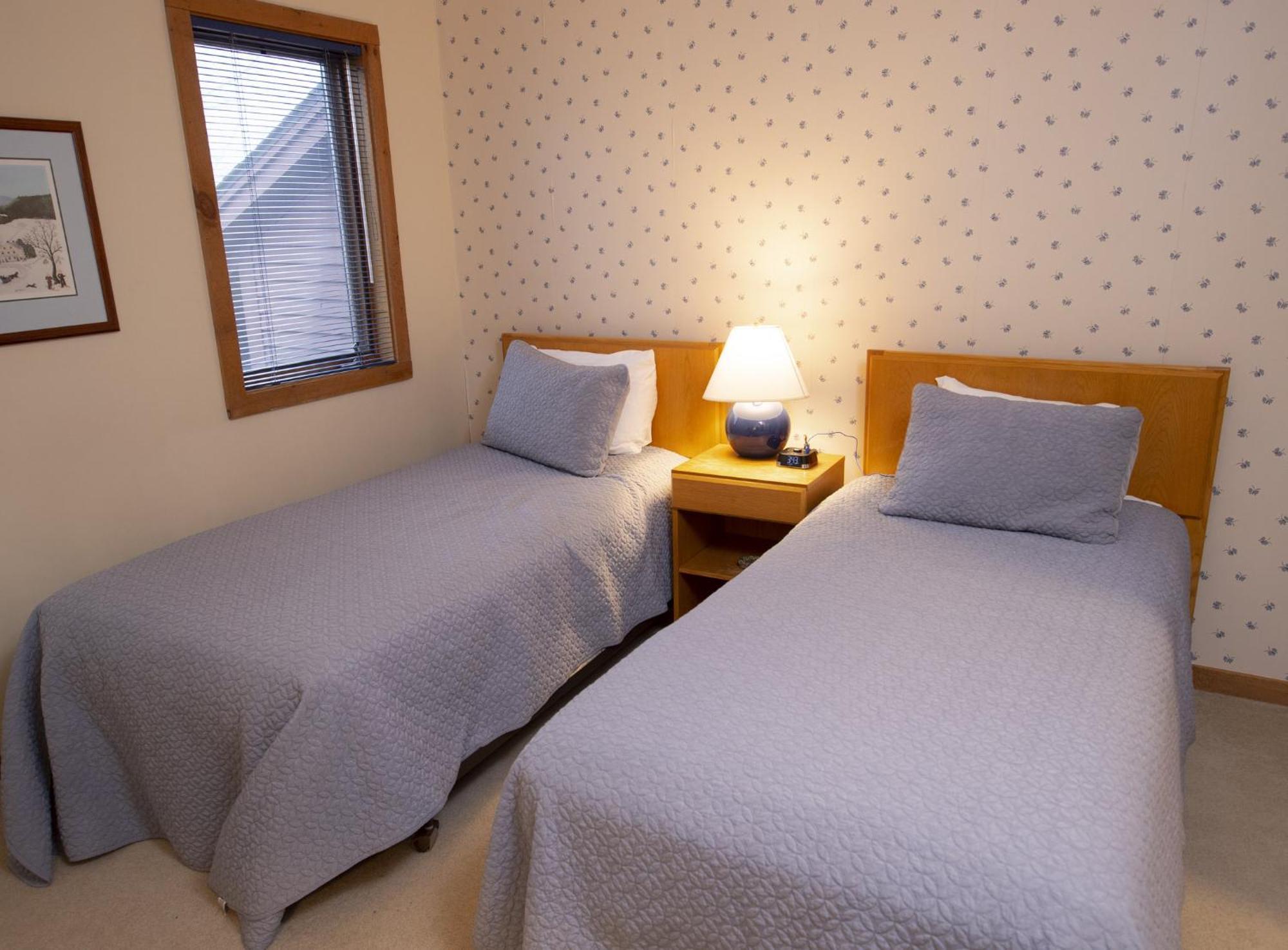 Okemo Mountain Lodging Ludlow Exteriér fotografie
